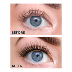 FlutterHabit doll-eye clusters offer natural-looking volume for daily wear.