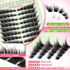 Focipeysa Fox Eye beginner-friendly 1-minute application demonstration
