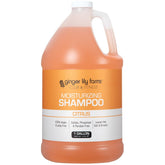 Ginger Lily Farms Club Fitness champú hidratante cítrico en botella 1 galón para todo tipo de cabello.