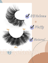 Goddvenus reusable false eyelashes pack for multiple looks.