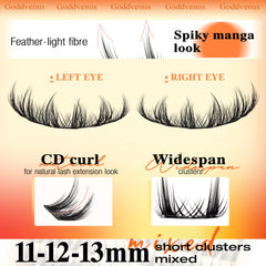 Goddvenus Lash Clusters Cotton Band offers gentle comfort on lids.