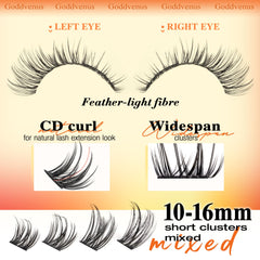 Goddvenus Lash Clusters close-up with adhesive backing and included adhesive