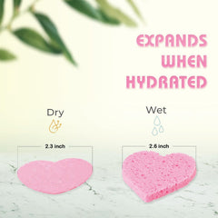GreenBoll compressed facial sponge expands when wet for soft makeup removal