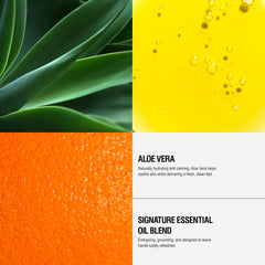 Cedarwood and sage botanicals featured in the formula
