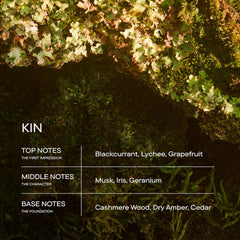 Harry's Kin top notes image emphasizes blackcurrant and fruity opening.