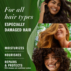 Ingredientes certificados por Kew fortalecen cada hebra de cabello.