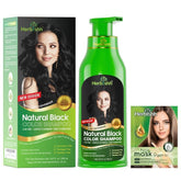 Herbishh hair color shampoo bottle label highlights gray coverage