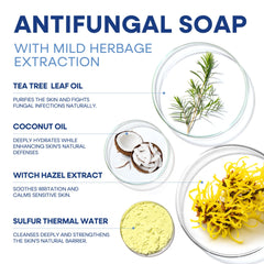 Hermon tea tree antifungal soap packaging highlighting product protection