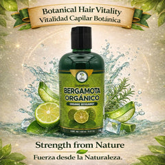 HIGH SUPREME Champú Sábila: hidratación suave para el cabello.