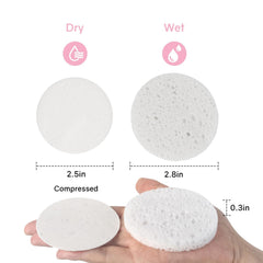 HUAXIN Biotechnology round face sponges in dry form, easy to grip for daily cleansing.