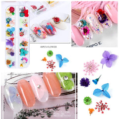 iFancer paleta de 62 tonos, flores secas para arte de uñas coloridos.