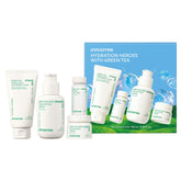 innisfree green tea amino acid cleansing foam for gentle cleanse and refreshment