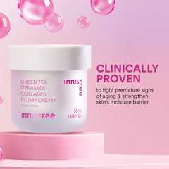 innisfree Green Tea Ceramide Collagen Plump Cream jar closeup highlighting smooth consistency