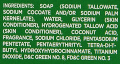 Irish Spring Original Scent bar pack hands-use scene for daily cleansing.