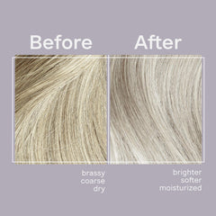 Jhirmack Silver Brightening Purple Shampoo set of 4-pack highlights value for multiple color needs.