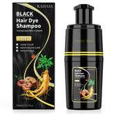 KAISASA champú-tinte negro en envase, cobertura total de canas.
