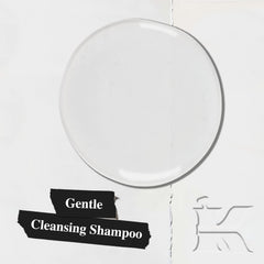 Foamy lather from Kiehl's Amino Acid Shampoo illustrates gentle cleansing for daily use.