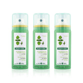 Klorane Nettle Dry Shampoo travel-size bundle front view for on-the-go refresh.