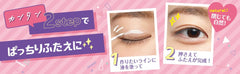 Koji Eyetalk application guide image shows simple steps for daily use.