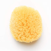 KYTE BABY esponja marina natural de 4-5 pulgadas para un baño suave y sostenible.