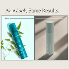 L’ANZA Healing Strength Detangling Primer hair texture showing smooth, frizz-free results