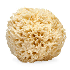 LATHER natural sea wool sponge 5-6 inch, gentle exfoliation for all skin types.