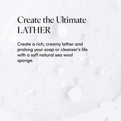 LATHER sea wool sponge eco-friendly material harvested in Florida for sustainable skincare.