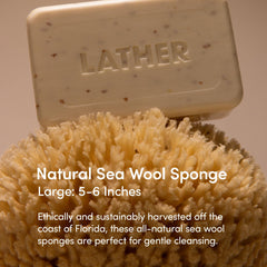 LATHER sea wool sponge soft-lather close-up, ideal for delicate cleansing.