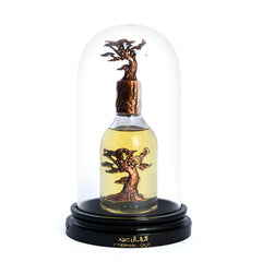 Lattafa Eternal Oud spray mist demonstrates versatile use from day to night.