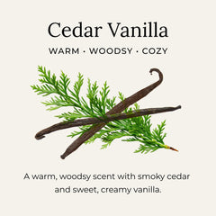 Little Seed Farm aceites esenciales Cedar Vetiver, aroma natural y refrescante.