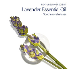 L'Occitane Lavender Hand Cream with shea butter for nourished hands