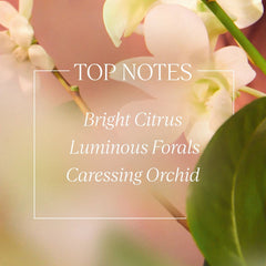 L'OCCITANE Neroli and Orchid Shower Gel packaging image evokes Provence-inspired pampering