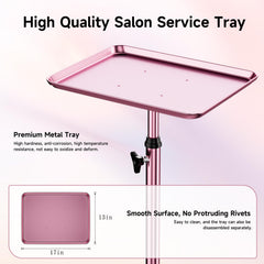 LWADALN pink height adjustable salon tray adapts to your workflow