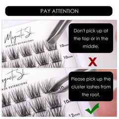 Magnetic SL length options from 10 to 16 mm for versatile eye shapes.