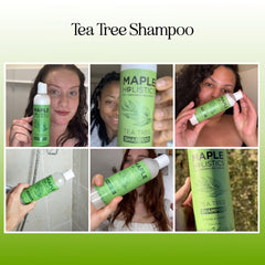Maple Holistics tea tree oil ingredients jar highlighting purifying scalp care.