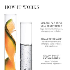 Meaningful Beauty Melon Serum applied to skin for a refreshed, plump look.