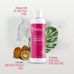 Sustainable packaging for Mielle Organics Mongongo Oil Exfoliating Shampoo.