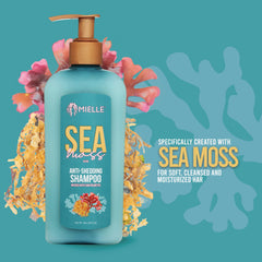 Ingrediente musgo marino irlandés en champú Mielle Organics para nutrición capilar.