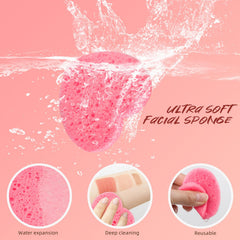 MMRH sponge expands when wet for full-size cleansing