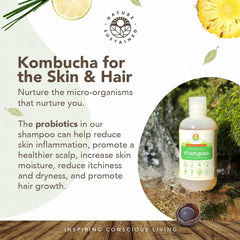Nature Sustained soapberry lather close-up for a gentle, chemical-free wash.