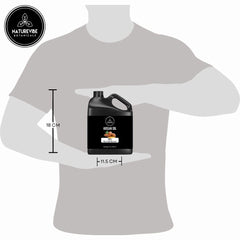 Naturevibe Botanicals Argan Oil application hair demonstrates frizz control and shine