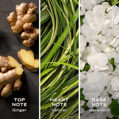 Nautica Color Green forest ambience conveys earthy vetiver notes.