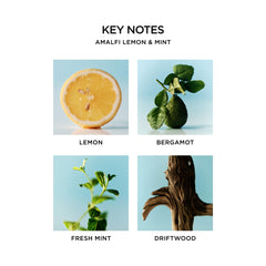 Close-up of Amalfi Lemon & Mint formula with natural plant extracts and antioxidants