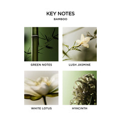 NEST Bamboo liquid soap foam on hand demonstrates gentle cleansing and aromatic notes.