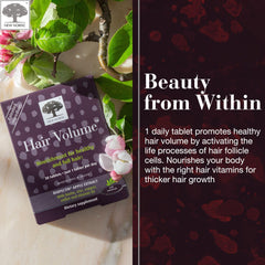 NEW NORDIC Hair Volume Tablets pills inside bottle illustrate compact daily supplement.