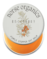 Norse Organics Pimple Stopper Day Balm packaging showcases clean design for daily acne care