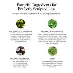 Ogee Sculpted Lip Oil ingredients closeup shows coconut and jojoba for nourishment.