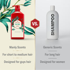 Dos frascos de Old Spice Tea Tree Champú para hombres en un paquete doble.