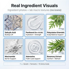Orrnaturals pumpkin seed extract ingredient highlighted for nourishment