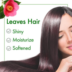 Oshima Tsubaki Camellia Seed Oil applied to hair for light, non greasy moisture